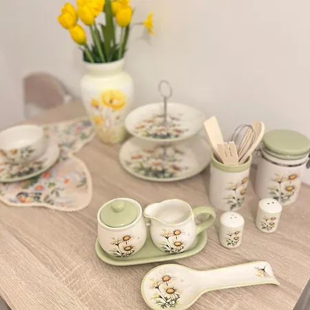 Vesel Fluturas Chic * ティミショアラ