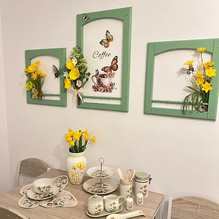 Vesel Fluturas Chic * ティミショアラ