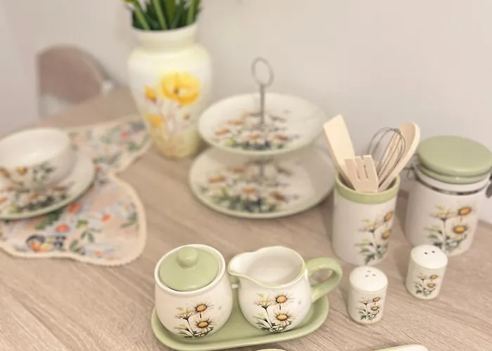 Vesel Fluturas Chic * Timişoara