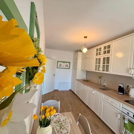 Vesel Fluturas Chic Apartament Timișoara