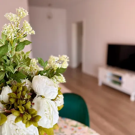 Vesel Fluturas Chic Apartament *