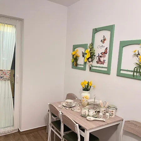 Apartament Vesel Fluturas Chic