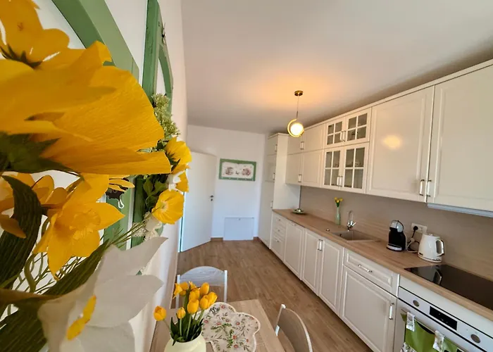 Vesel Fluturas Chic Lägenhet Timişoara