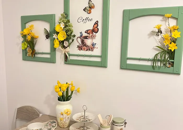 Vesel Fluturas Chic * Timişoara